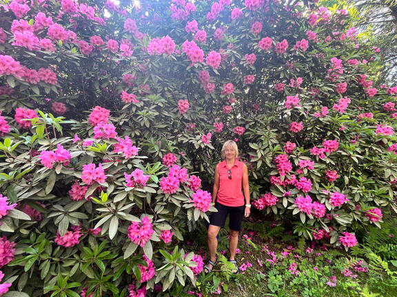 23-06-03 17-21-05 5823